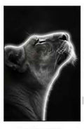 Led Wall Art Decorative Painting Lion AL Frame Black Chrystal Paining Surface