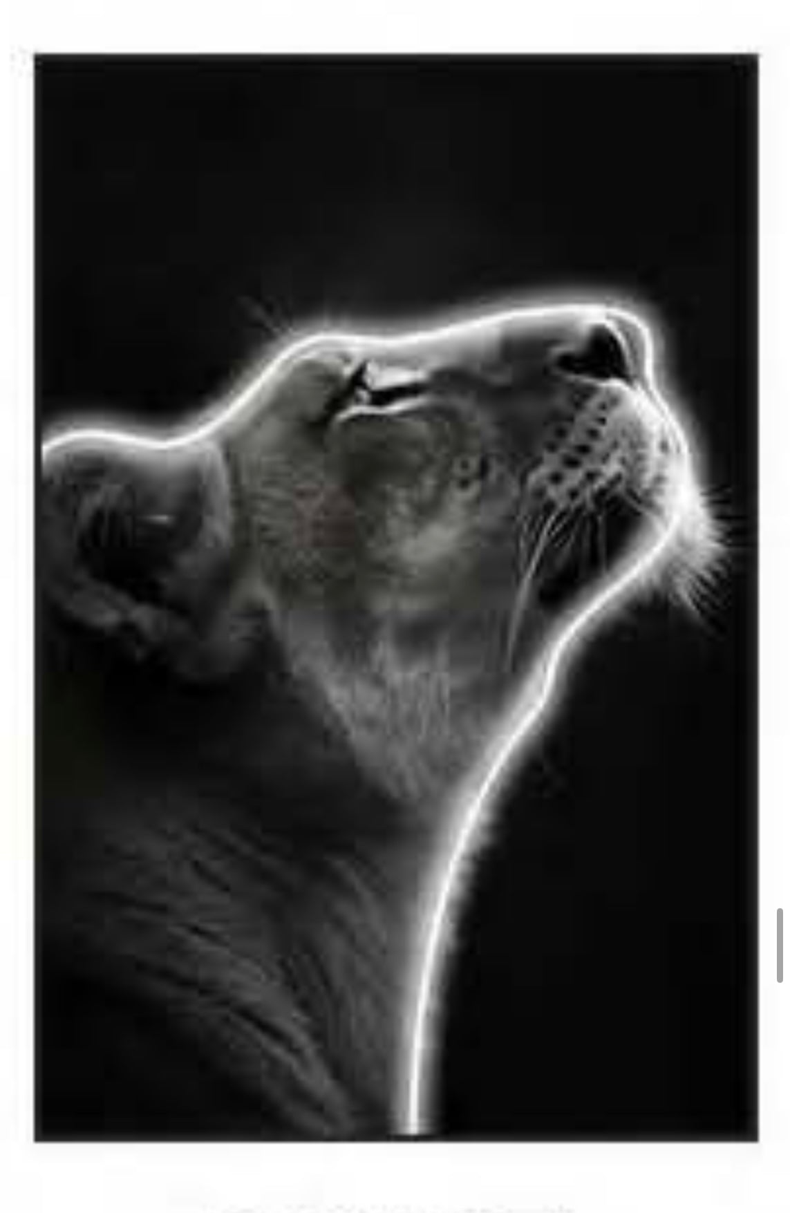 Led Wall Art Decorative Painting Lion AL Frame Black Chrystal Paining Surface