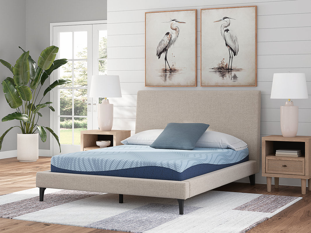 M204 - 8" Memory Foam (Firm) - Twin, Full **NEW ARRIVAL**