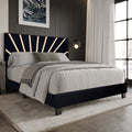 Nico Black Platform - Queen, King Bed